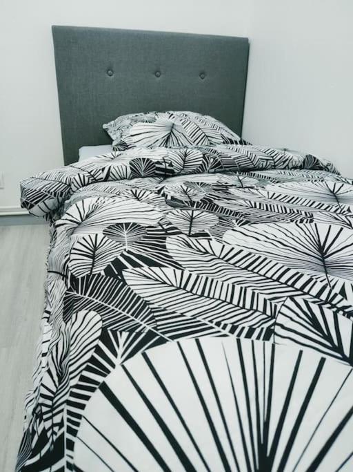 # Appartement Charmant 75 M2 Parking Gratuit Obernai Exteriér fotografie